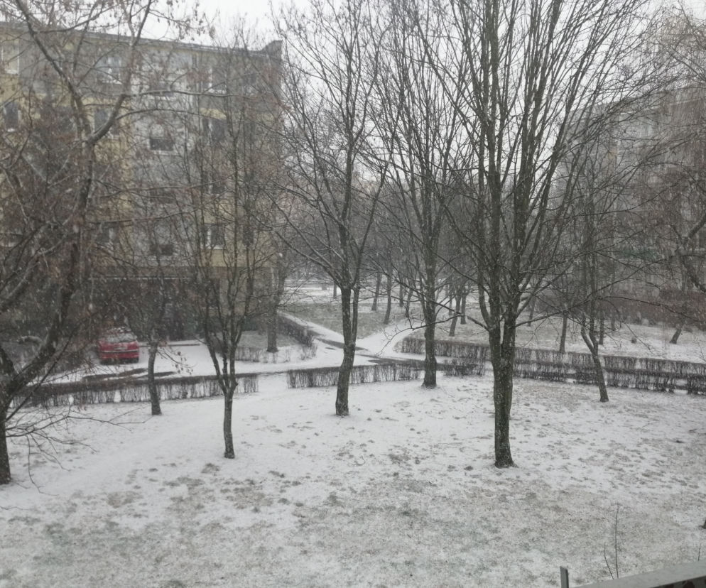 Pogodowy ARMAGEDON w Poznaniu! Czeka nas zima i jesień w jednym! 