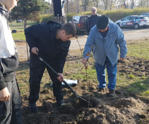 Sto drzew na 100. rocznicę odzyskania niepodległości w Toruniu