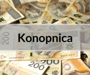 6. Konopnica