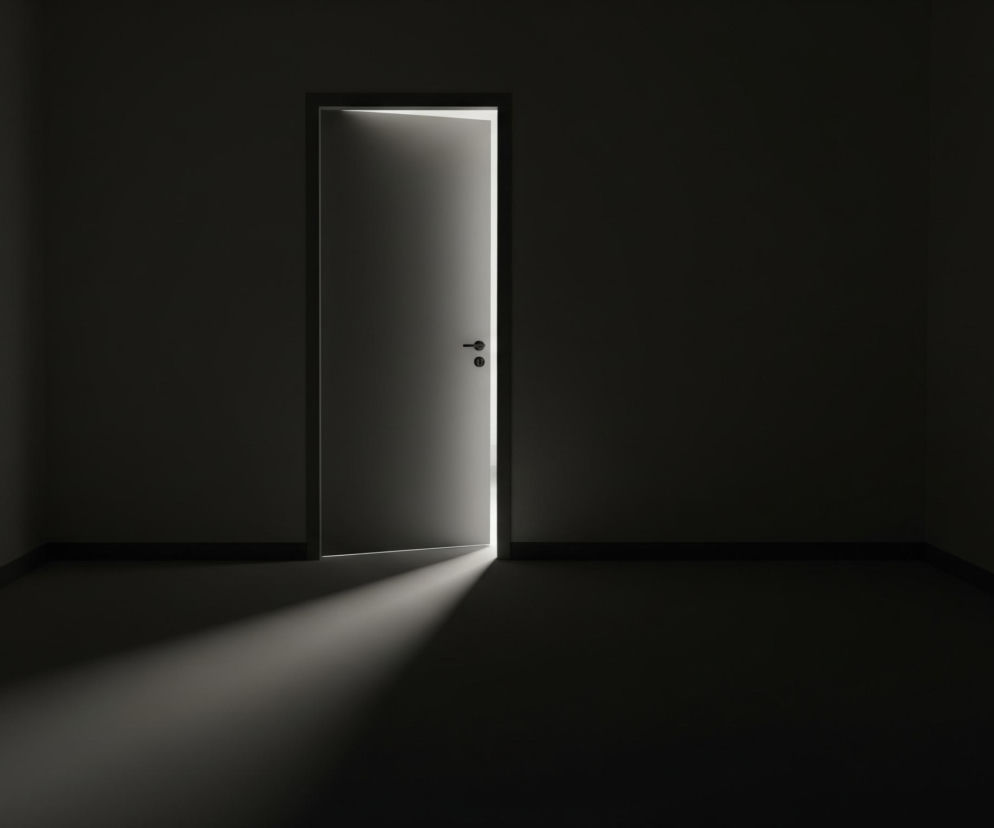 W centrum obrazu znajduje się uchylone lekko drzwi, z których wydobywa się jasne, białe światło, tworzące smugę na ciemnej podłodze. Drzwi mają minimalistyczny design z dwoma okrągłymi elementami na wysokości klamki. Całe pomieszczenie jest bardzo ciemne, z szarymi ścianami i podłogą, co kontrastuje z intensywną poświatą.