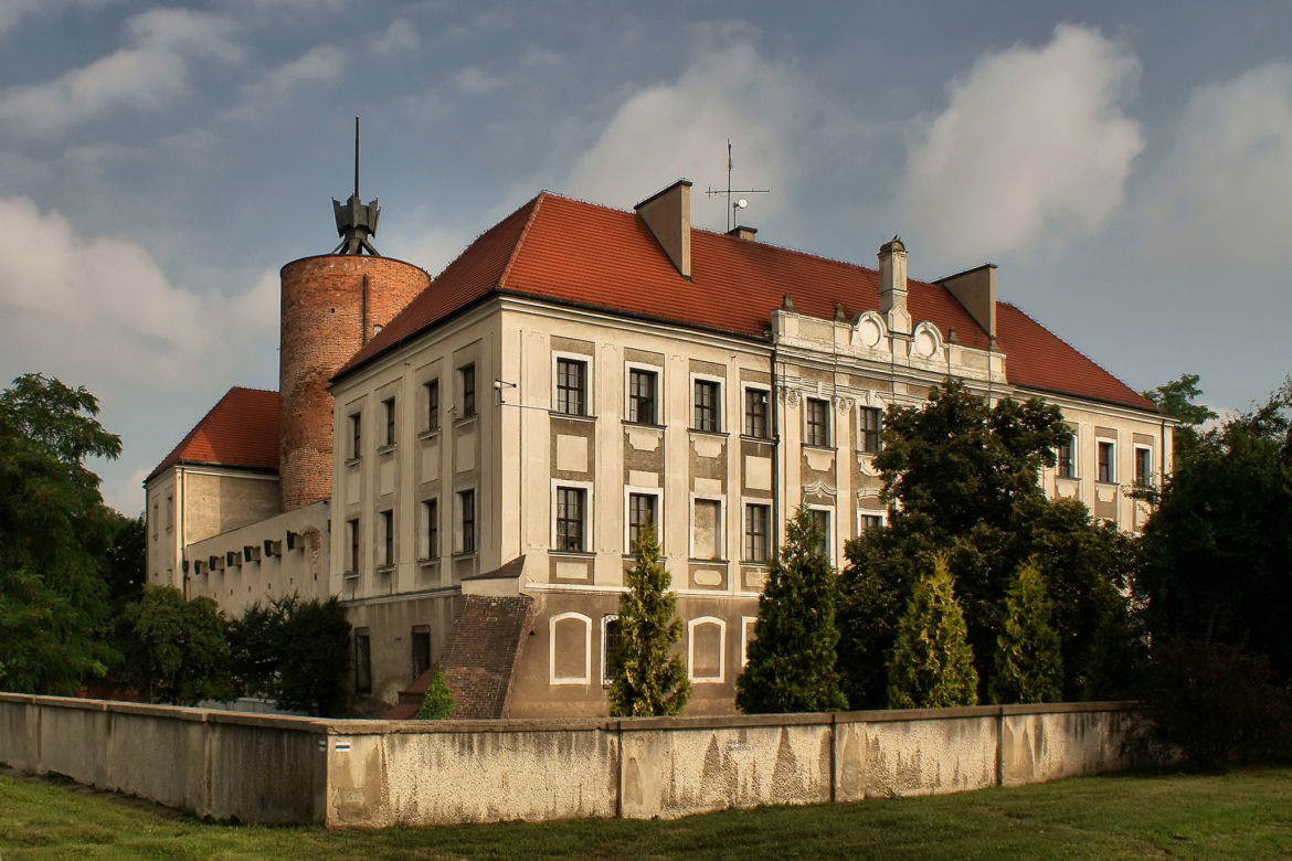 8. Powiat głogowski