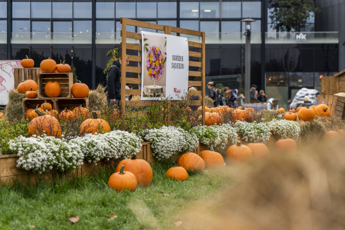 Farma Dyniowa przed galerią handlową Westfield Arkadia