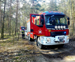 Dramatyczne chwile koło Torunia. Mężczyznę przygniotło drzewo