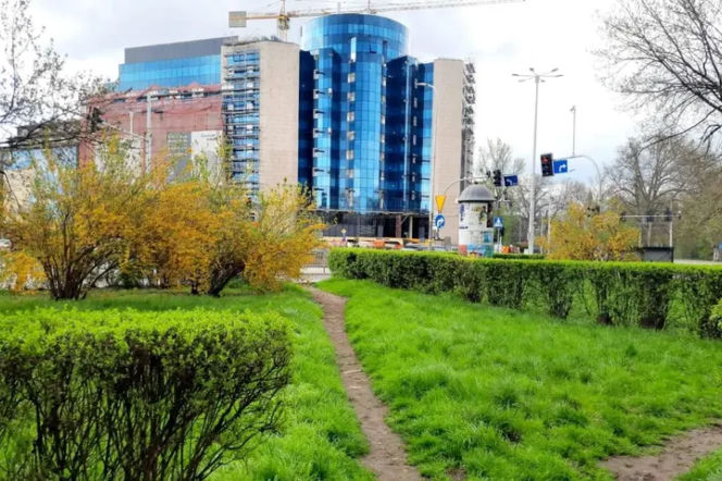 Koniec z betonem na Placu Orląt Lwowskich! Pojawi się tam za to więcej zieleni 