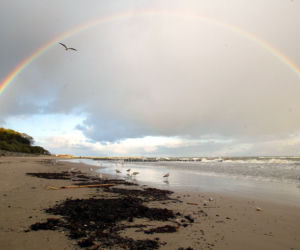 Morze Bałtyckie, plaża