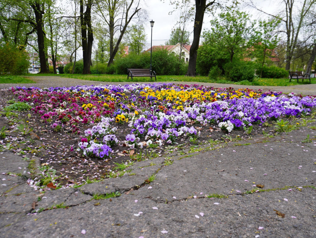 Park Bronowice wiosną 2024