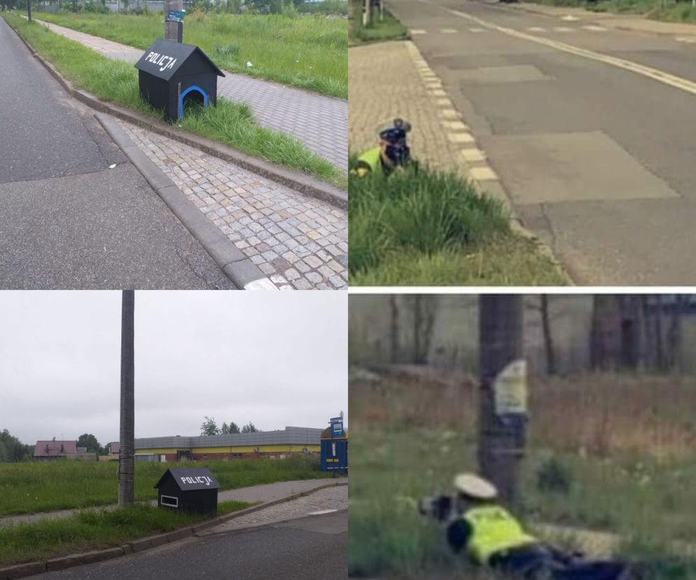 Zabrze: Policjant nurkujący w krzakach jest hitem internetu. To oczywisty fake. Co mówią o tej przeróbce policjanci? [FOTO]