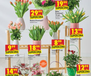 Tanie prezenty na Dzień Babci i Dziadka