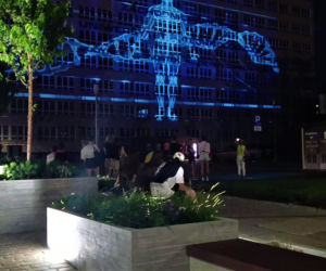 Szczecin Light Festival