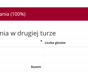 Wybory prezydenckie 2020. Wyniki w województwie warmińsko-mazurskim [POWIATY]