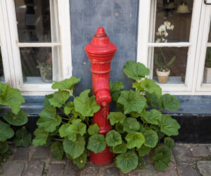 Ceny hydrantów ogrodowych 2026. Ile kosztuje hydrant do ogrodu?