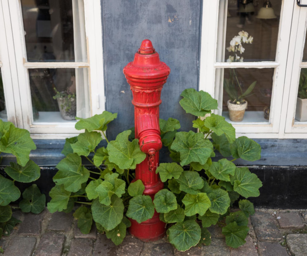 Ceny hydrantów ogrodowych 2026. Ile kosztuje hydrant do ogrodu?