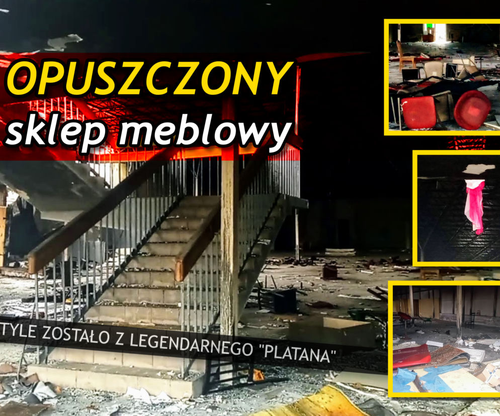 Tyle pozostało z legendarnego Platana