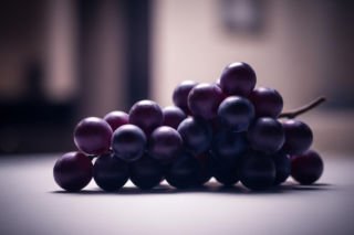 Śmierć psa Kory. Winogrona okazały się zabójcze, ale co naprawdę ją zabiło?