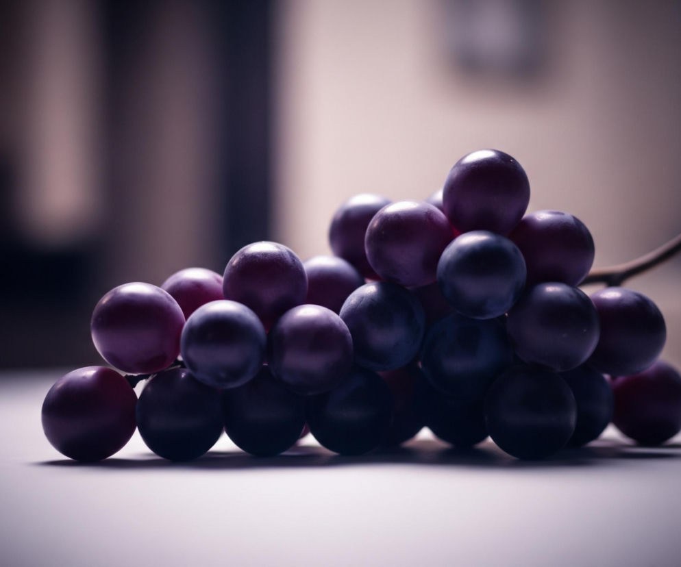 Grono ciemnofioletowych winogron leży na jasnej, niemal białej powierzchni, rozświetlonej od przodu. Poszczególne winogrona, o okrągłym kształcie, są różnej wielkości i mają błyszczącą skórkę, odzwierciedlającą światło. W głębi obrazu, za winogronami, znajduje się rozmyte tło w odcieniach szarości i purpury, z jaśniejszym obszarem po prawej stronie.