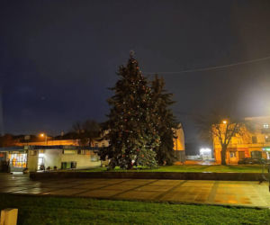 Choinka miejska Siedlce