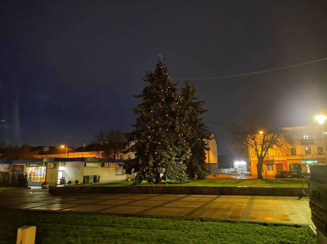 Choinka miejska Siedlce