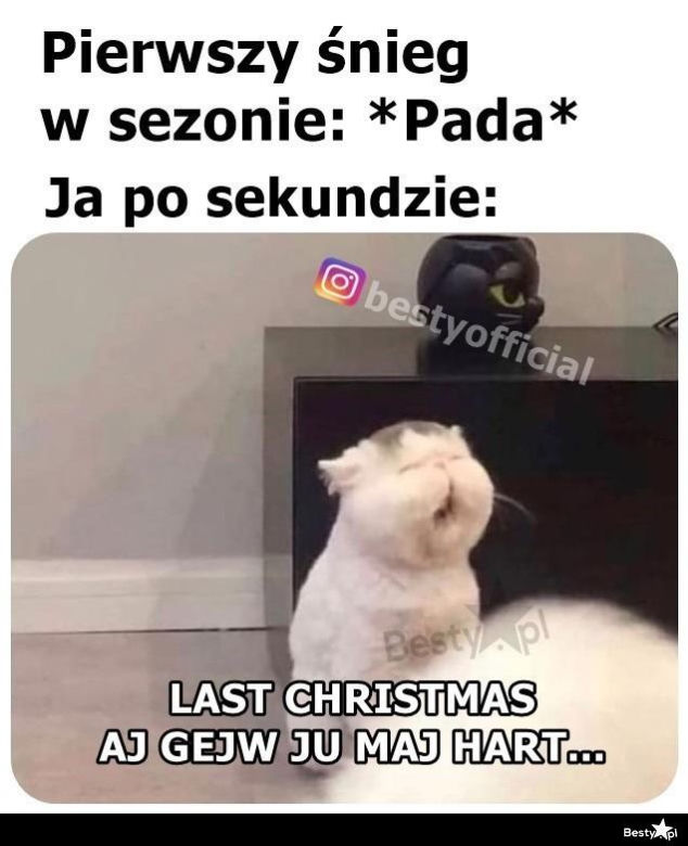 Memy o zimie roztapiają smutki. Te śnieżne obrazki rozbawią cię do łez [TOP 75]
