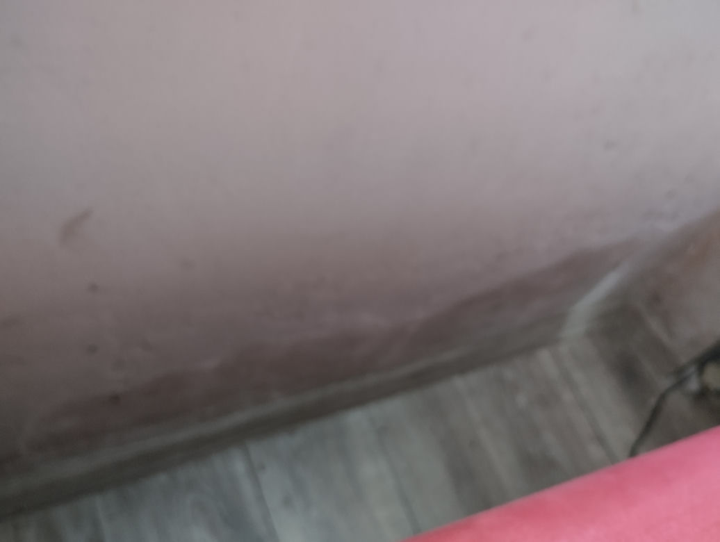 Dramatyczna sytuacja pani Moniki z Sosnowca. Nie stać jej na jedzenie