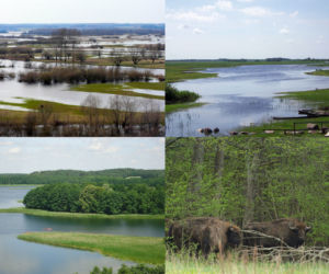 Parki Narodowe na Podlasiu