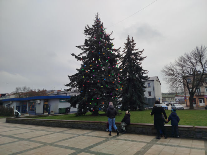 Choinka miejska Siedlce