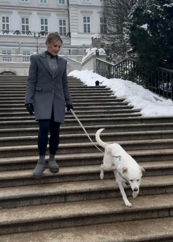Pieski w Pałacu Prezydenckim