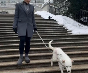 Pieski w Pałacu Prezydenckim