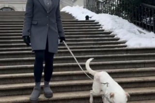 Pieski w Pałacu Prezydenckim