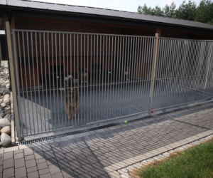 Ekostalkerzy dręczyli weterynarza spod Oświęcimia
