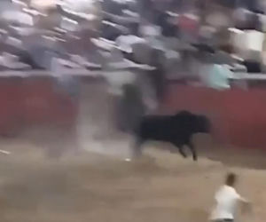 Szok na festiwalu! Byk wskoczył na widownię. Mocne wideo