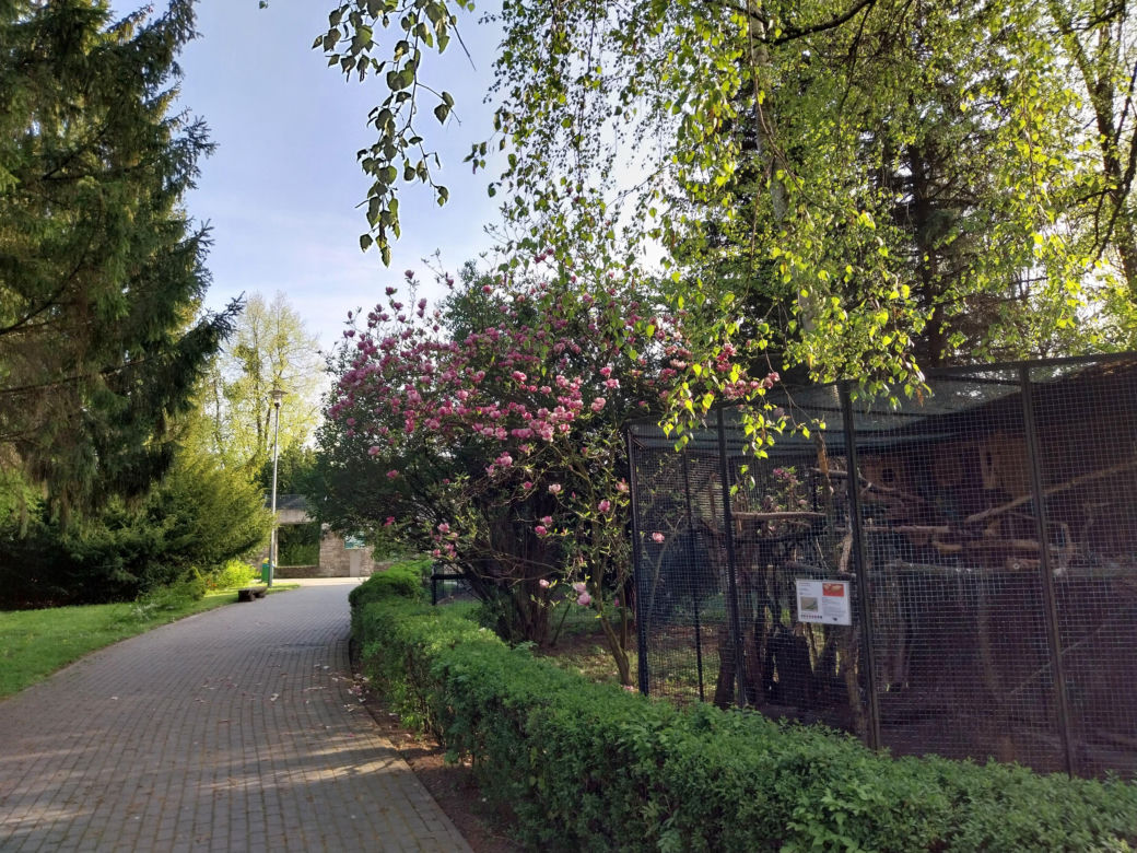 Wiosenny spacer w zamojskim zoo