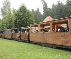 Niezwykła podróż przez puszczę. Kolejka w Białowieży wznowiła kursy! 