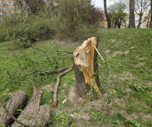 Wichury woj. lubelskie