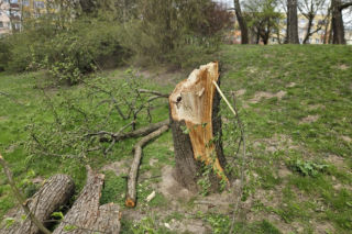 Gorące zaskoczenie dla Polaków! Oni poczują lato. Równolegle uderzy wichura