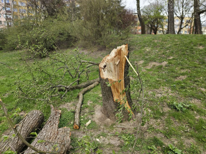 Wichury woj. lubelskie