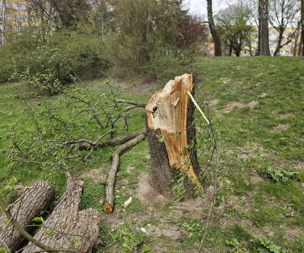 Wichury woj. lubelskie