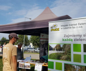 Wielki Piknik Aktywności i Pasji 
