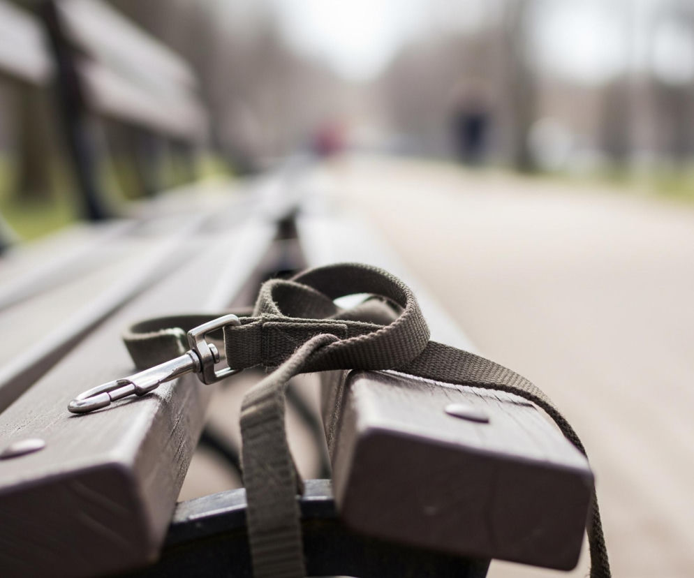 Na pierwszym planie, z bliskiej perspektywy, leży zielona smycz ze srebrnym karabińczykiem na drewnianej ławce, ustawionej ukośnie od lewej do prawej. Ławka, w kolorze ciemnobrązowym, ma widoczne drewniane deski i metalowe mocowania. W tle rozciąga się parkowa alejka, rozmyta i niewyraźna, z pojedynczymi, niewyraźnymi sylwetkami ludzi i drzewami po bokach. Światło jest stonowane, a ogólna atmosfera obrazu wydaje się spokojna, być może lekko zamglona lub pochmurna.