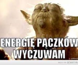 Tłusty Czwartek 2020. Zobacz najlepsze memy