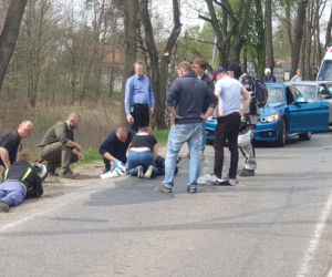 Łoś uderzył w motor przed rondem w Zielonce 