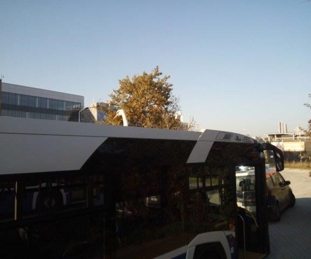 Kraków. Pasażerka na gapę złapana przez straż miejską. Jechała na dachu autobusu