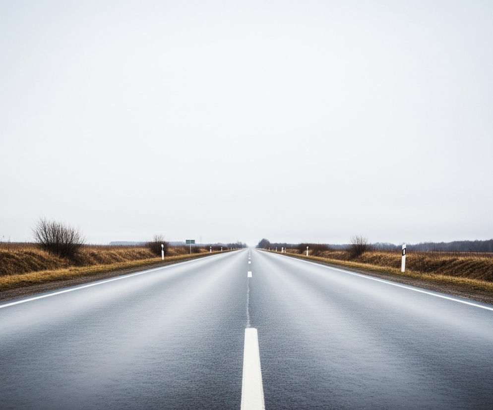 Prostą, asfaltową drogę biegnącą w perspektywie, zbiegającą się w oddali ku horyzontowi. Powierzchnia jezdni jest ciemnoszara, miejscami odbija światło, sprawiając wrażenie wilgotnej. Biała, ciągła linia wyznacza krawędź drogi po lewej stronie, a przerywana biała linia dzieli pasy ruchu. Po obu stronach drogi rozciągają się brązowe, suche pola z rzadko rozmieszczonymi, bezlistnymi krzewami. Wzdłuż prawej krawędzi drogi widać białe słupki drogowe z czarnymi, ukośnymi pasami na górze, z cyfrą 1 widoczną na najbliższym słupku. Na horyzoncie, w oddali, rozpościera się ciemny pas lasu, a nad całością dominuje jasne, jednolite, szare niebo.