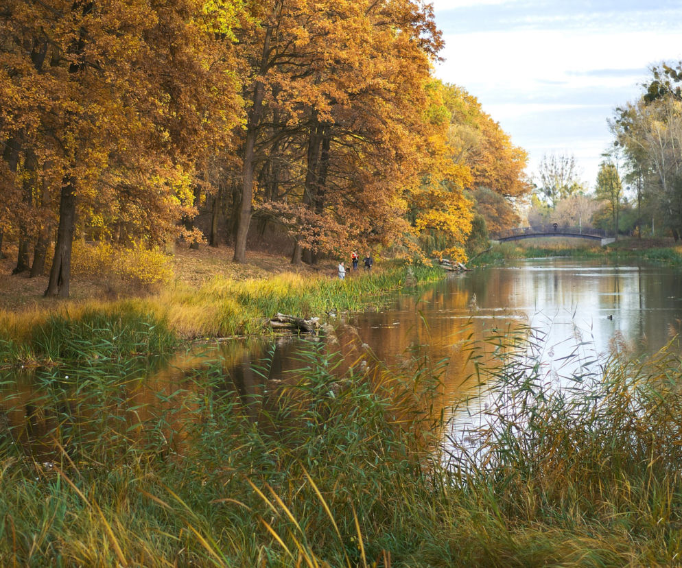 Toruń. Pogoda długoterminowa sugeruje nadejście lata! Nawet 25 stopni w ciągu dnia