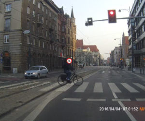 Wrocławskie jelenie rowerowe