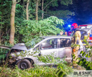 Śmiertelny wypadek pod Oleśnicą
