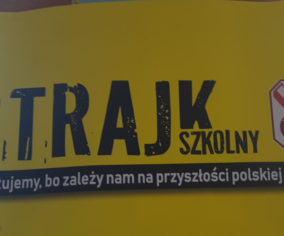 Nauczyciele w Lublinie strajkują [VIDEO]