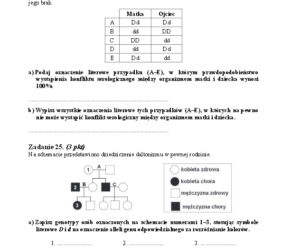 Arkusz biologia podstwowy matura 2014