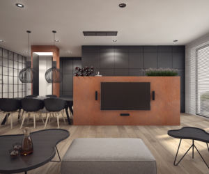 Salon z kuchnią - wizualizacje