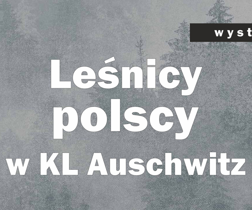 Plakat wystawy