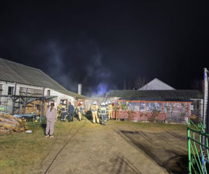 Strażacy z Łukowa i powiatu Łukowskiego mieli w weekend sporo pracy